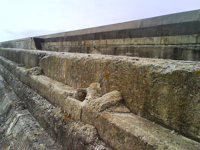 Hoje é um dia&nbsp;especial